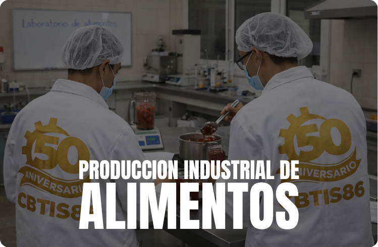 Alimentos