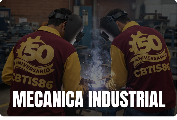 Mecanica Industrial