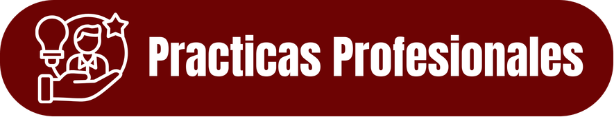Prácticas Profesionales