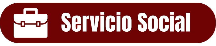 Servicio Social