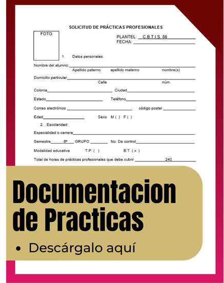 Documentos de Practicas Profesionales