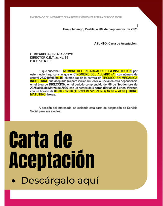 Documentos de Servicio Social